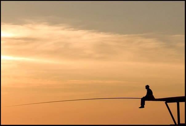 carp - 10141684900380910795661105463456n.jpg